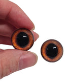 Orange Wide Pupil Fox Eyes WRF6 - Handmade Glass Taxidermy Eyes