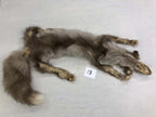 MADE TO ORDER DIY Amber Fox Soft Mount Taxidermy Kit | Ready-to-Mount | Beginner Starter Kit for Soft or Traditional Taxidermy Kit ID #13