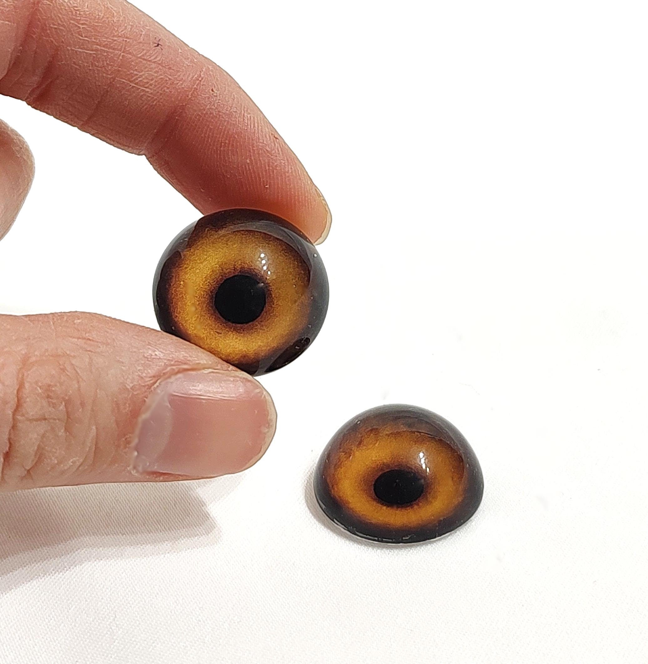 Black Bear CW10- Handmade Glass Taxidermy Eyes