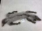 MADE TO ORDER DIY Fawn Glow Fox Soft Mount Taxidermy Kit | Ready-to-Mount | Beginner Starter Kit for Soft or Traditional Taxidermy Kit ID #18