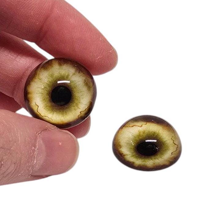 Sage Gold Coyote CW31- Handmade Glass Taxidermy Eyes