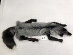 MADE TO ORDER DIY Silver Fox Soft Mount Taxidermy Kit | Ready-to-Mount | Beginner Starter Kit for Soft or Traditional Taxidermy Kit ID #28