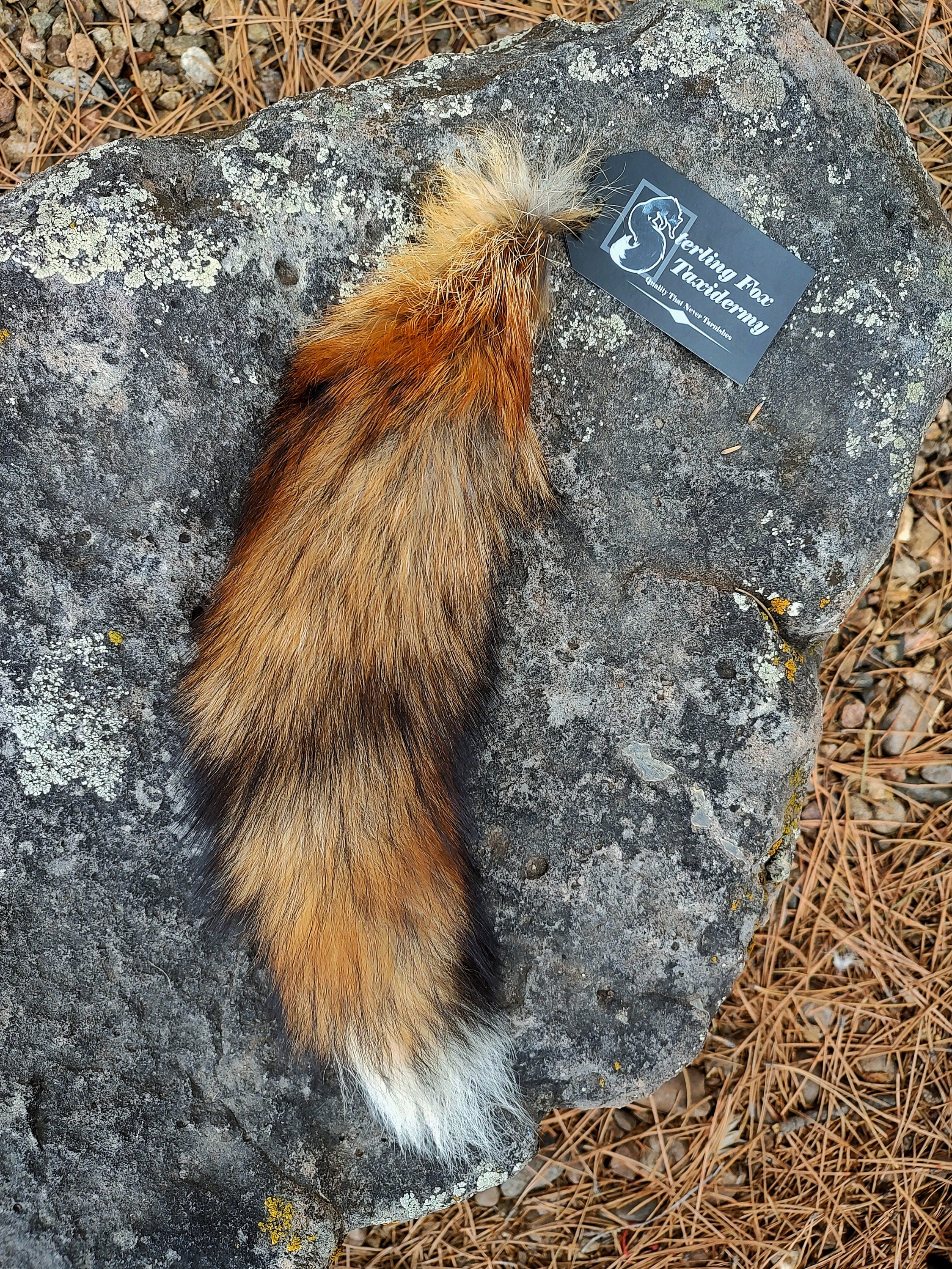 Real Fur Wild Red Fox Tail Keychain - Ethically Sourced