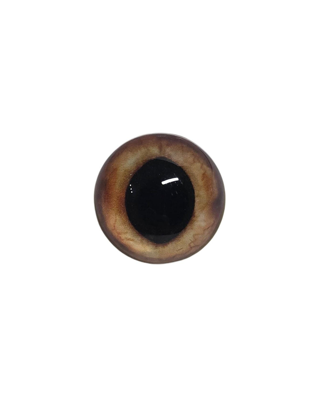 Hazel Brown Wide Pupil Fox Eyes WRF10 - Handmade Glass Taxidermy Eyes