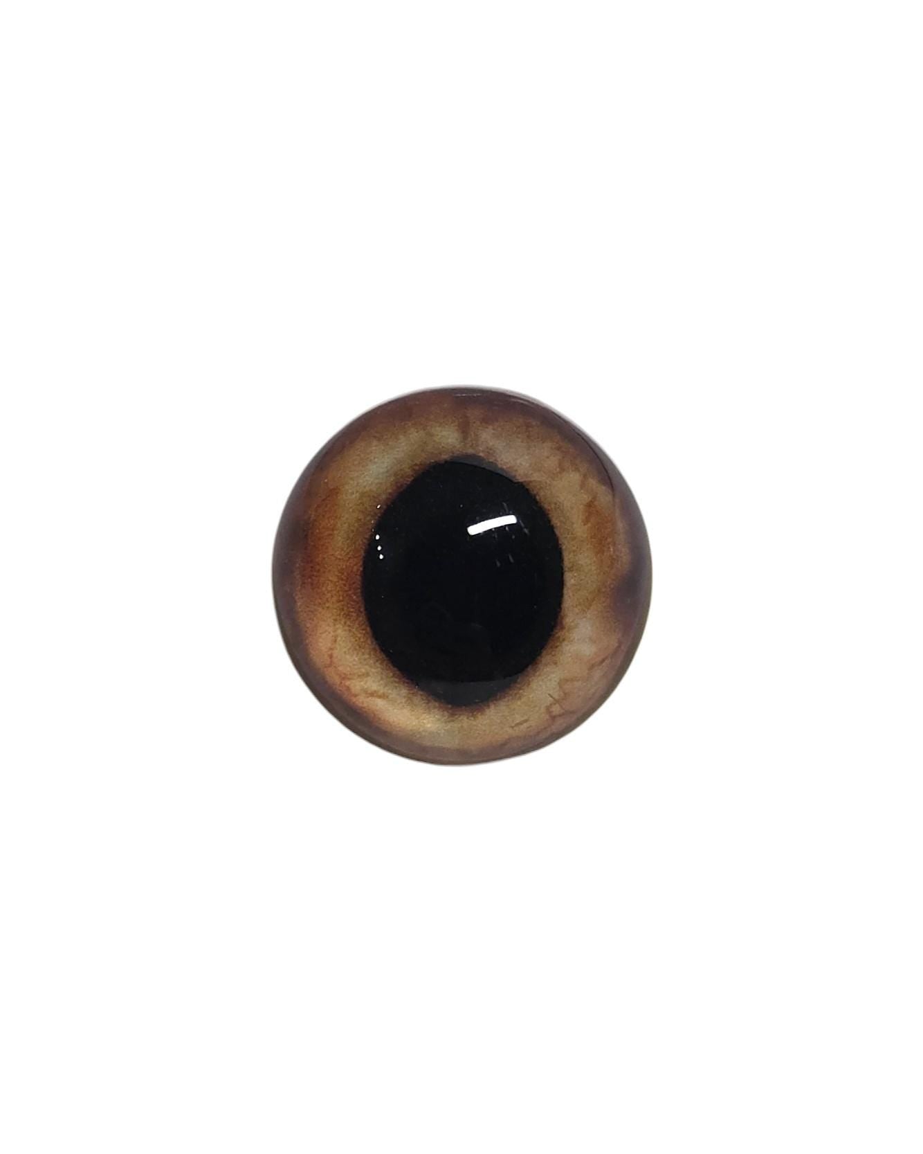 Hazel Brown Wide Pupil Fox Eyes WRF10 - Handmade Glass Taxidermy Eyes