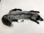 MADE TO ORDER DIY Silver Fox Soft Mount Taxidermy Kit | Ready-to-Mount | Beginner Starter Kit for Soft or Traditional Taxidermy Kit ID #25