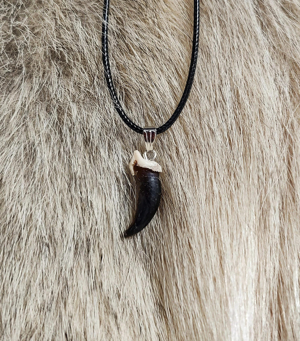 Black Coyote Claw Necklace