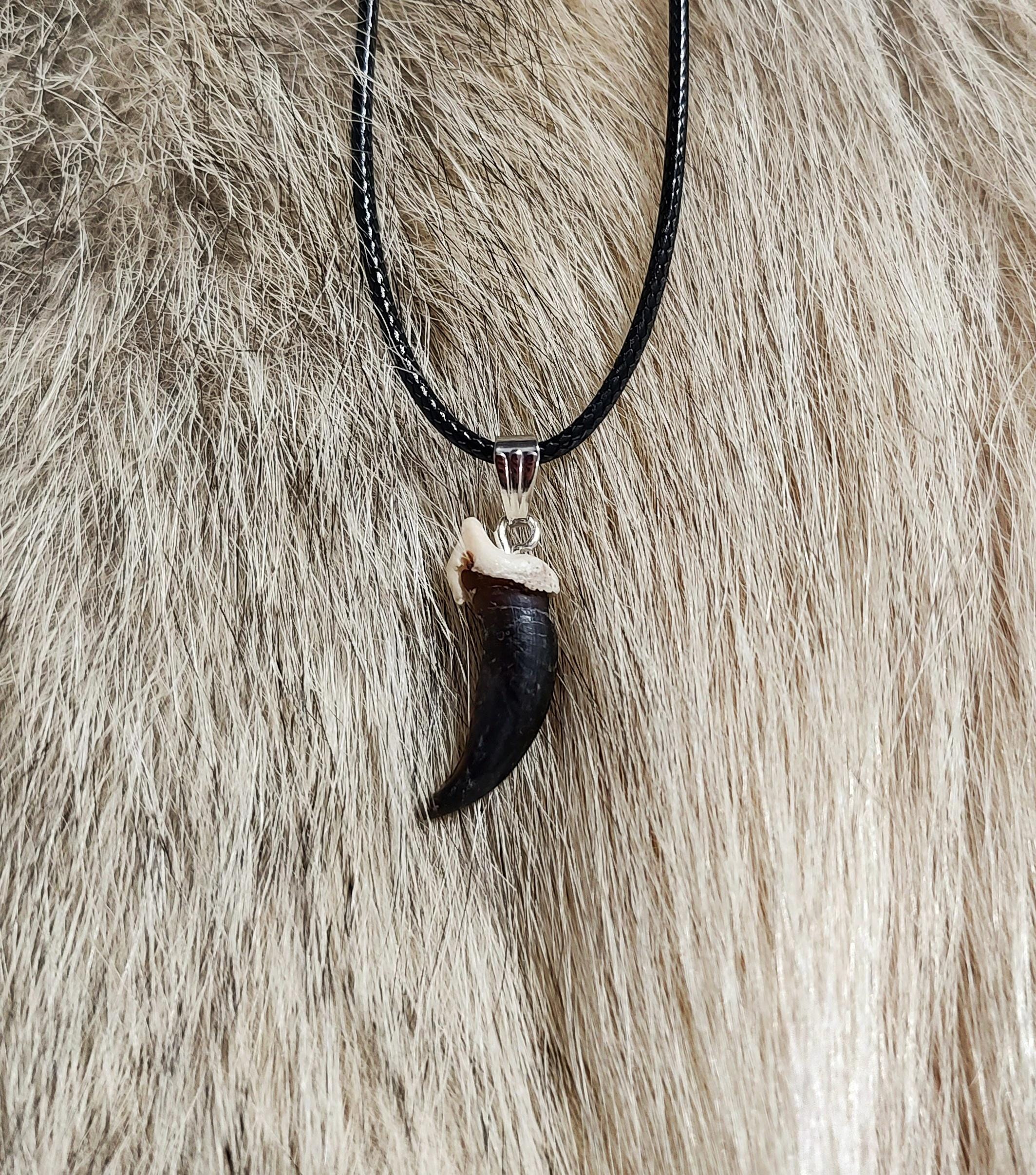 Black Coyote Claw Necklace