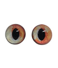 Orange and Blue Fox Heterochromia Eyes HC7 - Handmade Glass Taxidermy Eyes