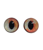 Orange and Blue Fox Heterochromia Eyes HC7 - Handmade Glass Taxidermy Eyes