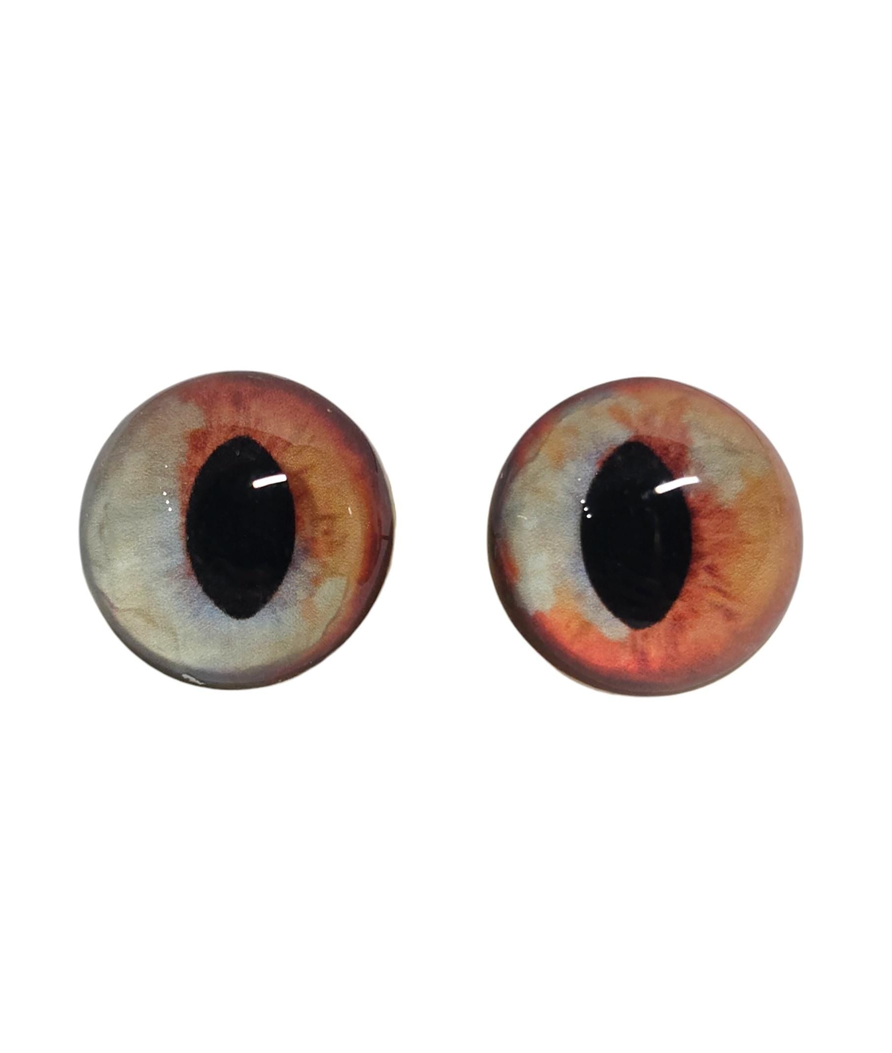 Orange and Blue Fox Heterochromia Eyes HC7 - Handmade Glass Taxidermy Eyes