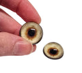 Pale Yellow Wolf CW25- Handmade Glass Taxidermy Eyes