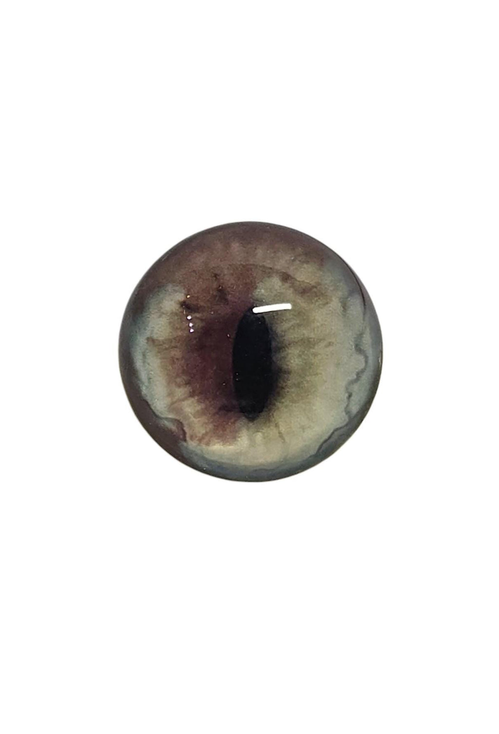Brown and Pale Green Fox Heterochromia Eyes HC6 - Handmade Glass Taxidermy Eyes