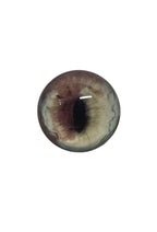 Brown and Pale Green Fox Heterochromia Eyes HC6 - Handmade Glass Taxidermy Eyes