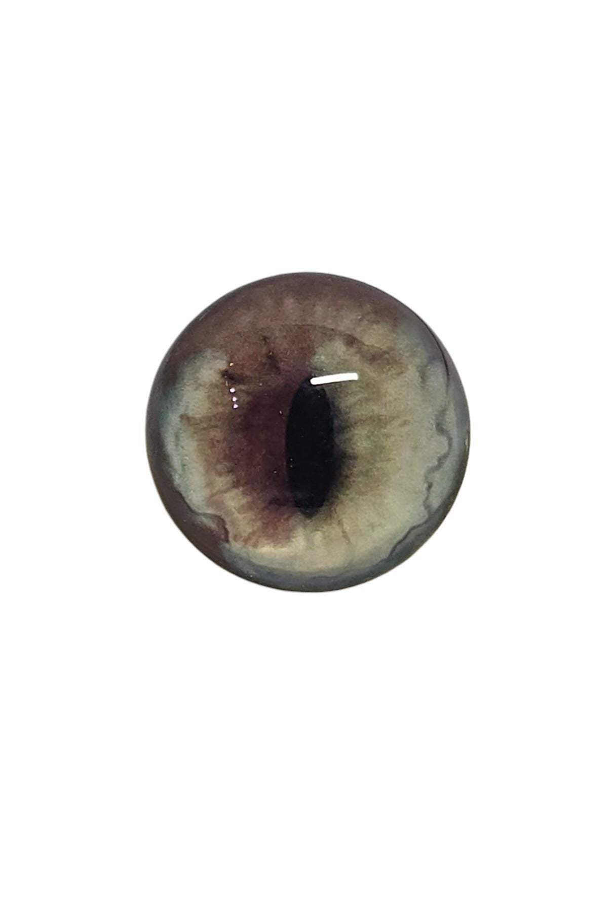 Brown and Pale Green Fox Heterochromia Eyes HC6 - Handmade Glass Taxidermy Eyes