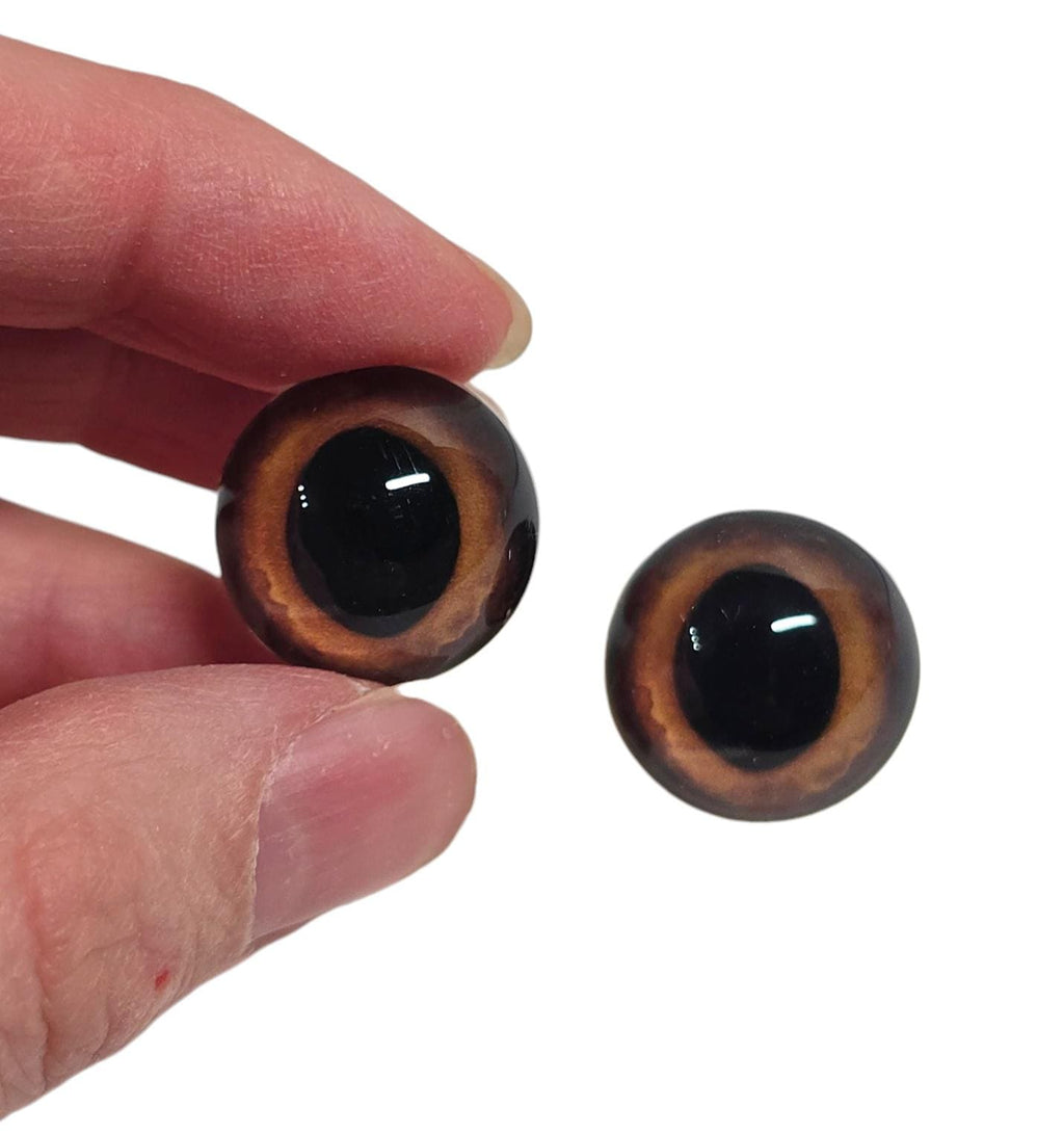 Dark Brown Wide Pupil Fox Eyes WRF40- Handmade Glass Taxidermy Eyes