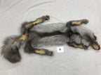 MADE TO ORDER DIY Fawn Glow Fox Soft Mount Taxidermy Kit | Ready-to-Mount | Beginner Starter Kit for Soft or Traditional Taxidermy Kit ID #6