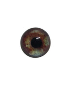 Brown and Grey Blue Dog Heterochromia Eyes HC3 - Handmade Glass Taxidermy Eyes
