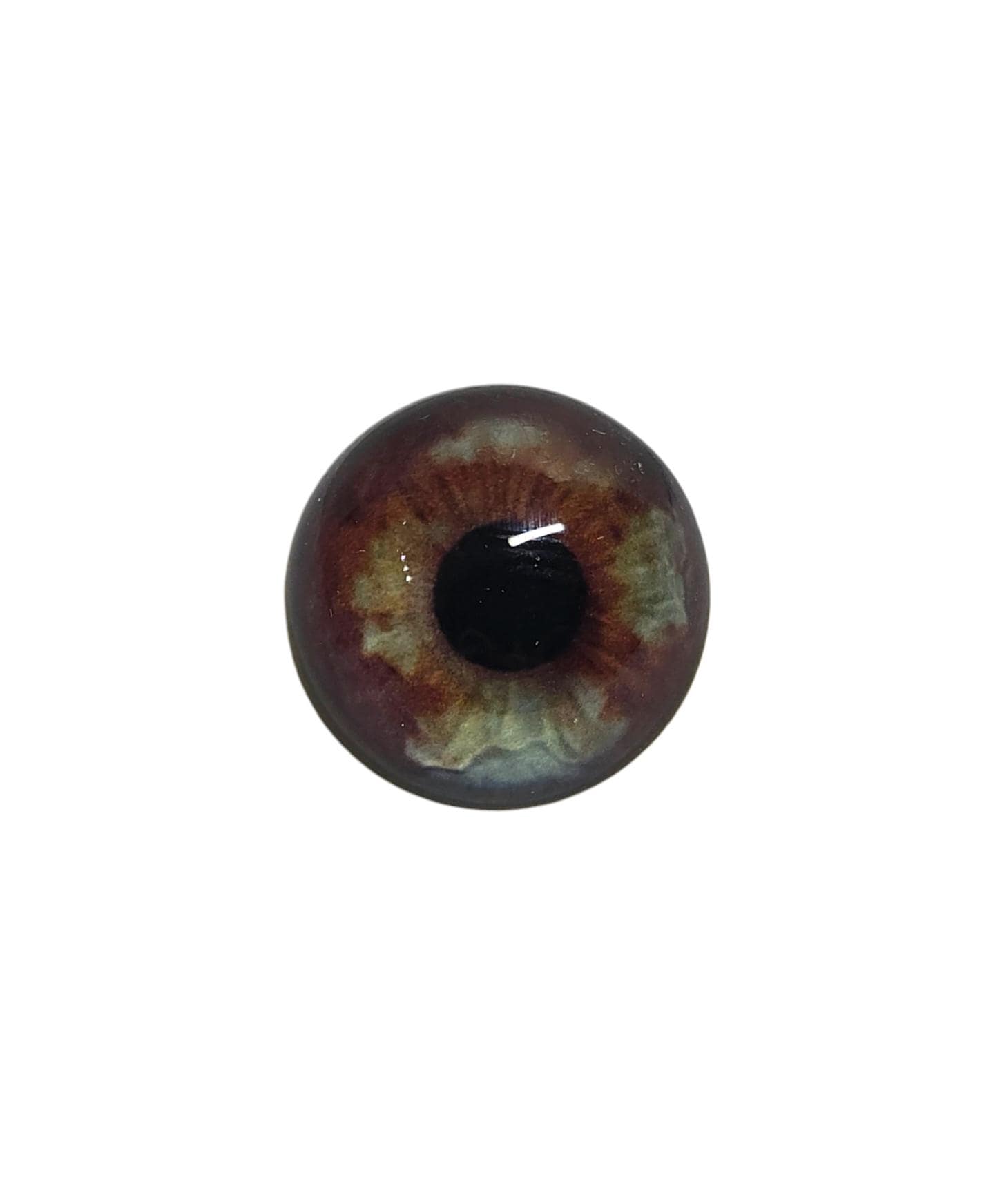 Brown and Grey Blue Dog Heterochromia Eyes HC3 - Handmade Glass Taxidermy Eyes