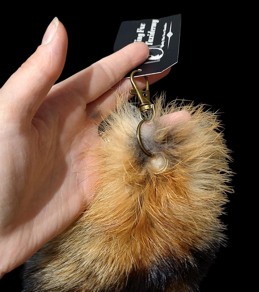 Real Fur Wild Red Fox Tail Keychain - Ethically Sourced