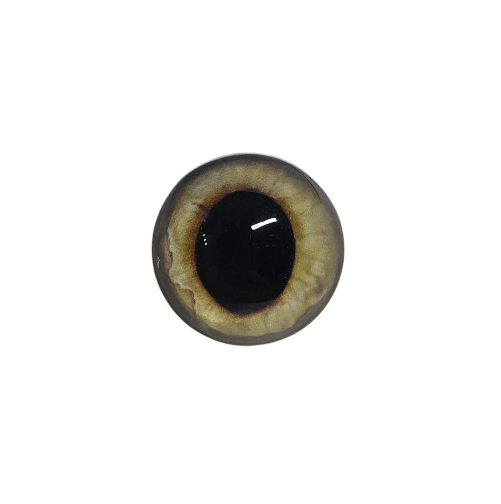 Gold Wide Pupil Fox Eyes WRF12 - Handmade Glass Taxidermy Eyes