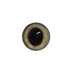 Gold Wide Pupil Fox Eyes WRF12 - Handmade Glass Taxidermy Eyes