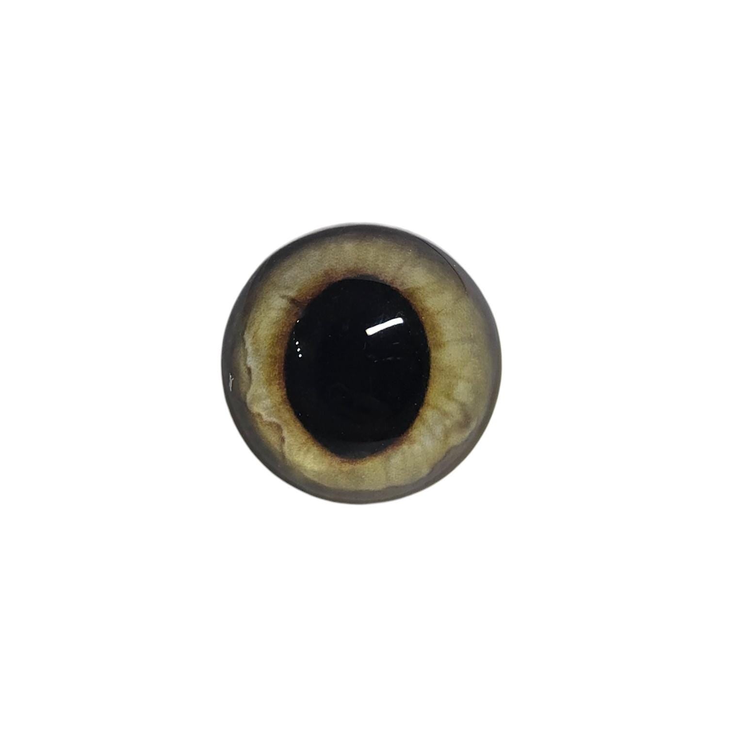 Gold Wide Pupil Fox Eyes WRF12 - Handmade Glass Taxidermy Eyes