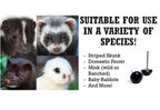8mm Black Mammal Taxidermy Eyes