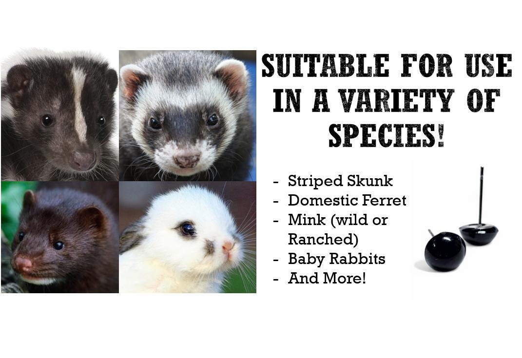 8mm Black Mammal Taxidermy Eyes