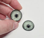 Grey Silver Natural Bobcat BC29 - Handmade Glass Taxidermy Eyes