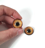 Timber Orange Wolf CW12- Handmade Glass Taxidermy Eyes