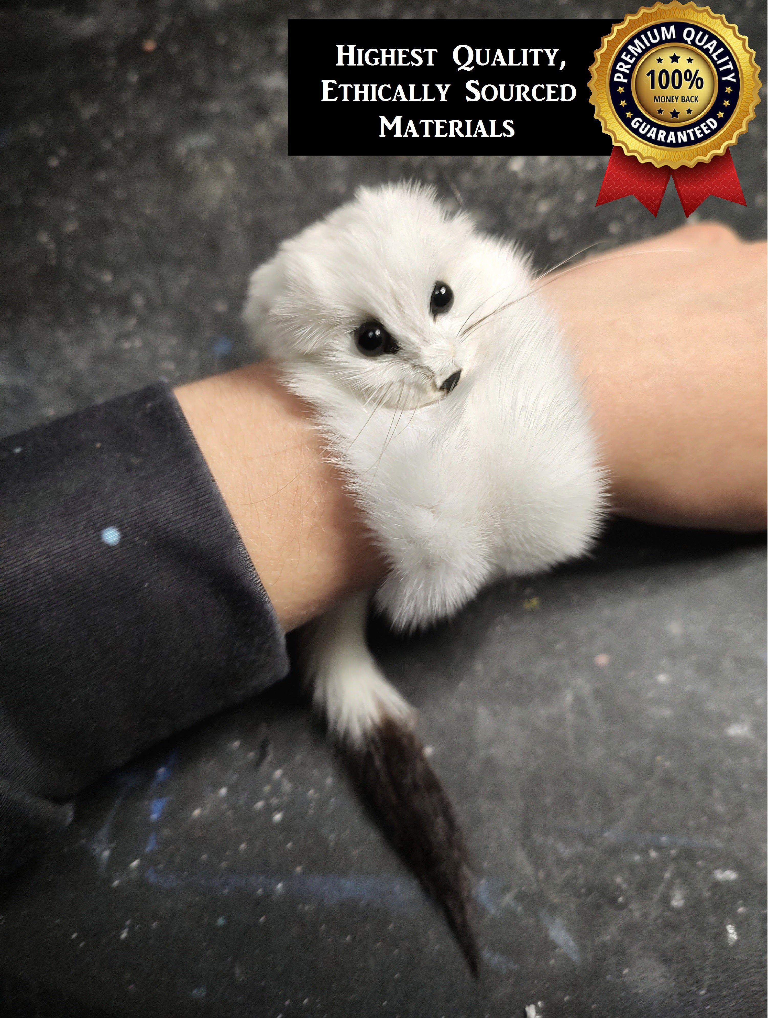 Weasel Slap Bracelet, Sherman the Ermine, White Ermine Slap Bracelet, Taxidermy Oddities Bracelet, Real Fur