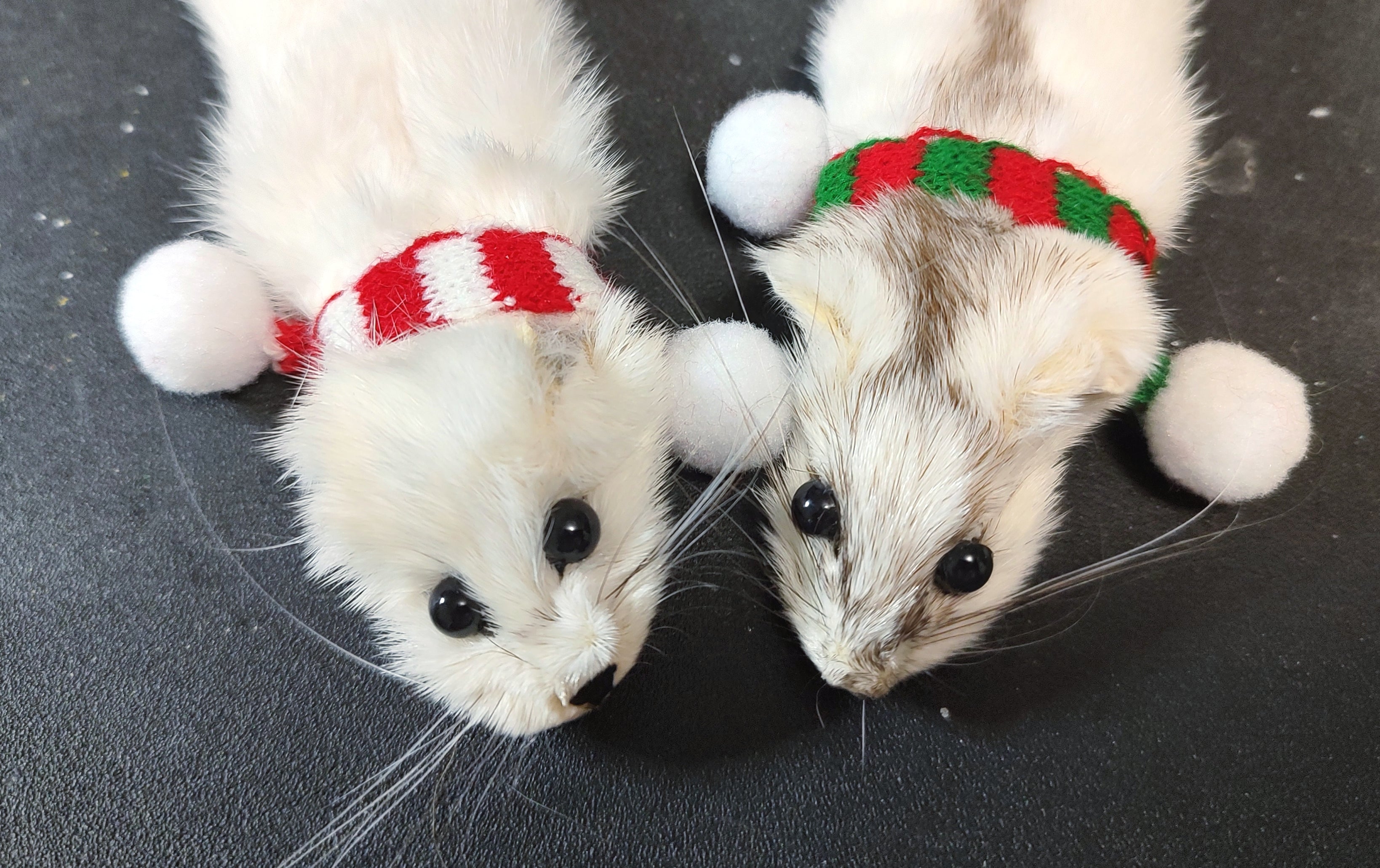 Weasel Slap Bracelet, Sherman the Ermine, White Ermine Slap Bracelet, Taxidermy Oddities Bracelet, Real Fur