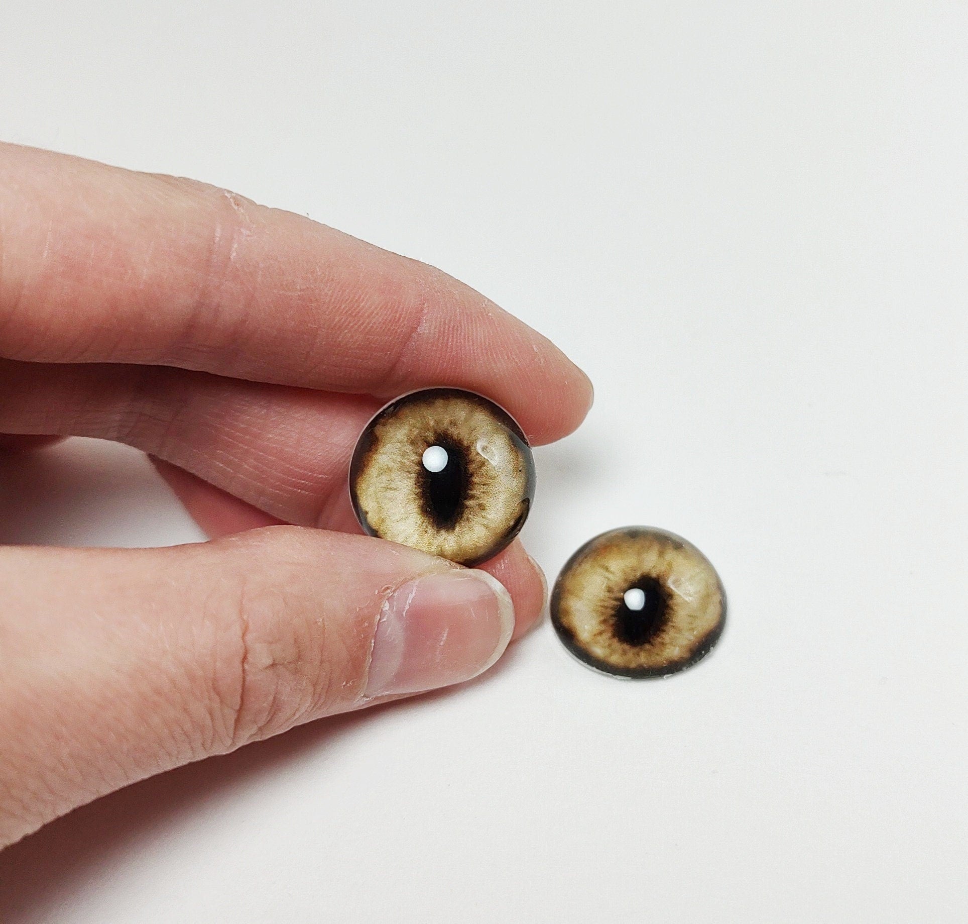 Dark Golden Fox RF13 - Handmade Glass Taxidermy Eyes