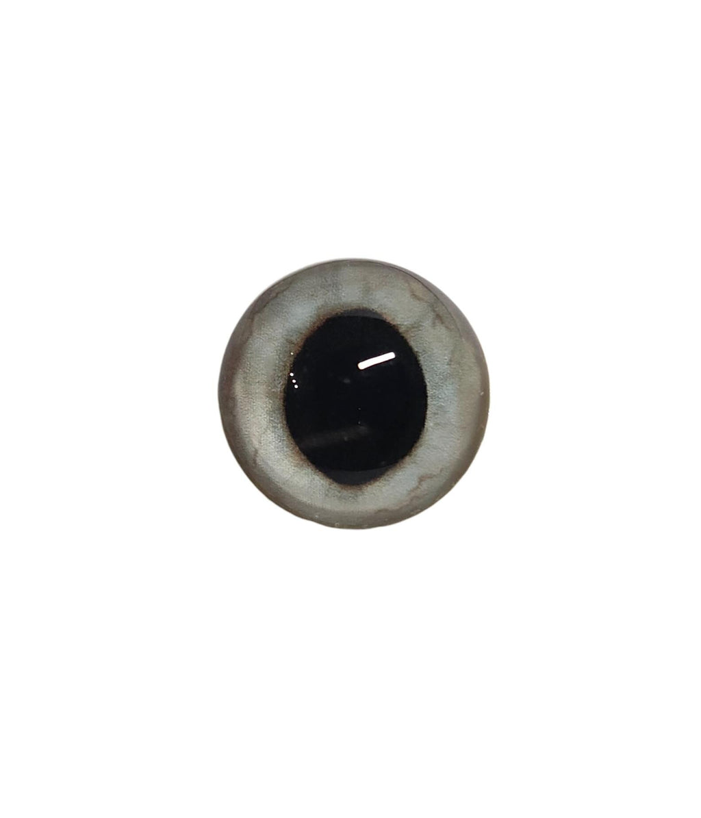 Frosty Wide Pupil Fox Eyes WRF21 - Handmade Glass Taxidermy Eyes