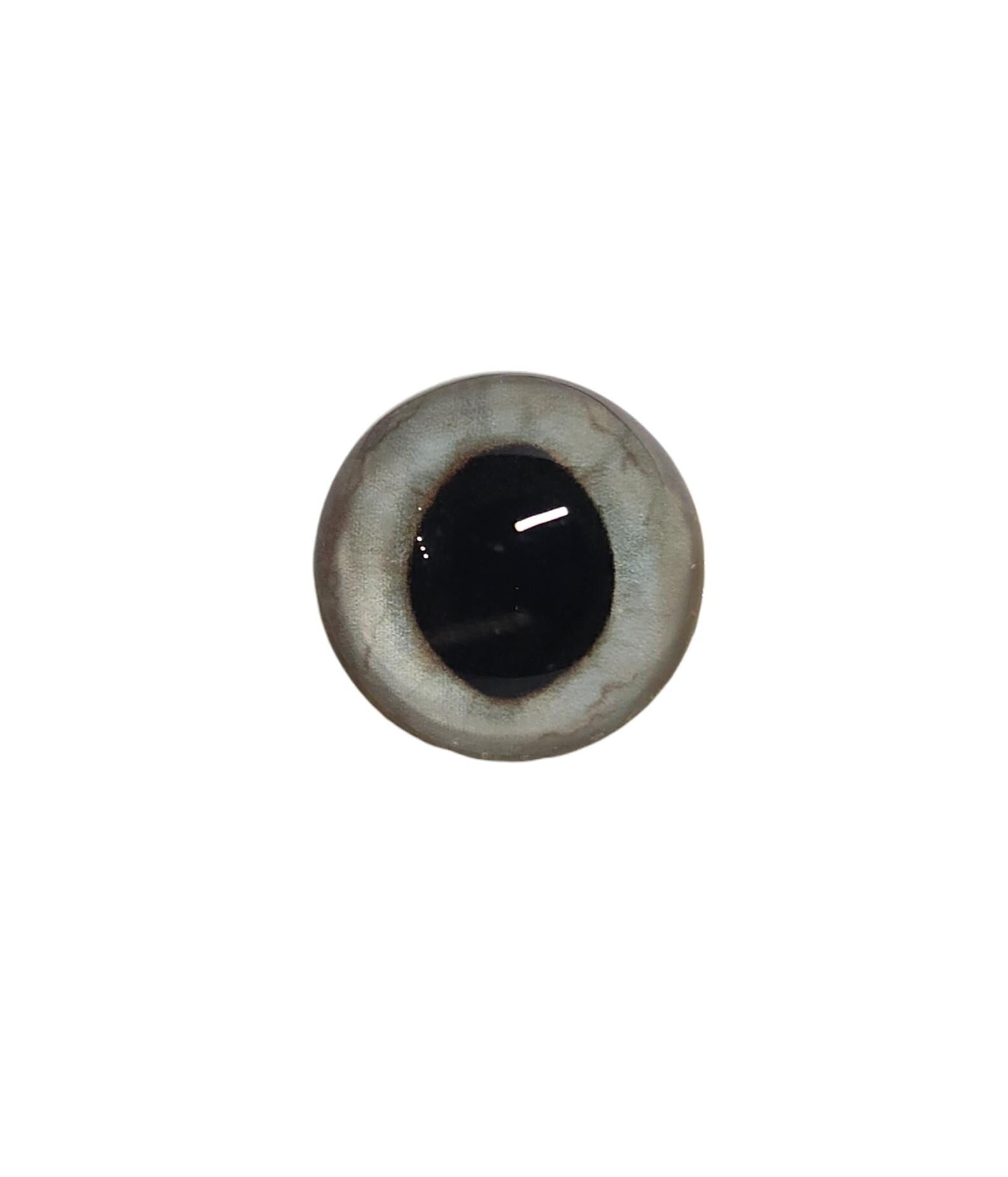 Frosty Wide Pupil Fox Eyes WRF21 - Handmade Glass Taxidermy Eyes