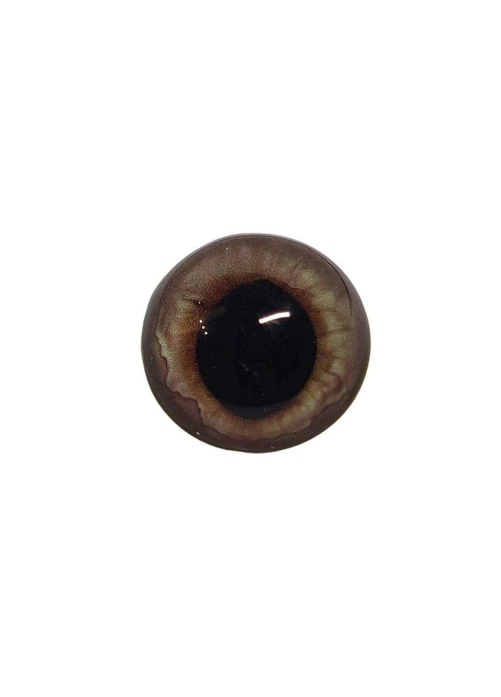 Grey Brown Wide Pupil Fox Eyes WRF3- Handmade Glass Taxidermy Eyes