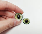 kiwi Fox MC9 - Handmade Glass Taxidermy Eyes