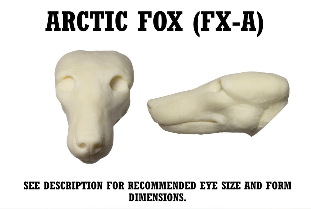 Arctic Fox Taxidermy Head Form – FX-A