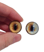 Gold and Blue fox Heterochromia Eyes HC4 - Handmade Glass Taxidermy Eyes