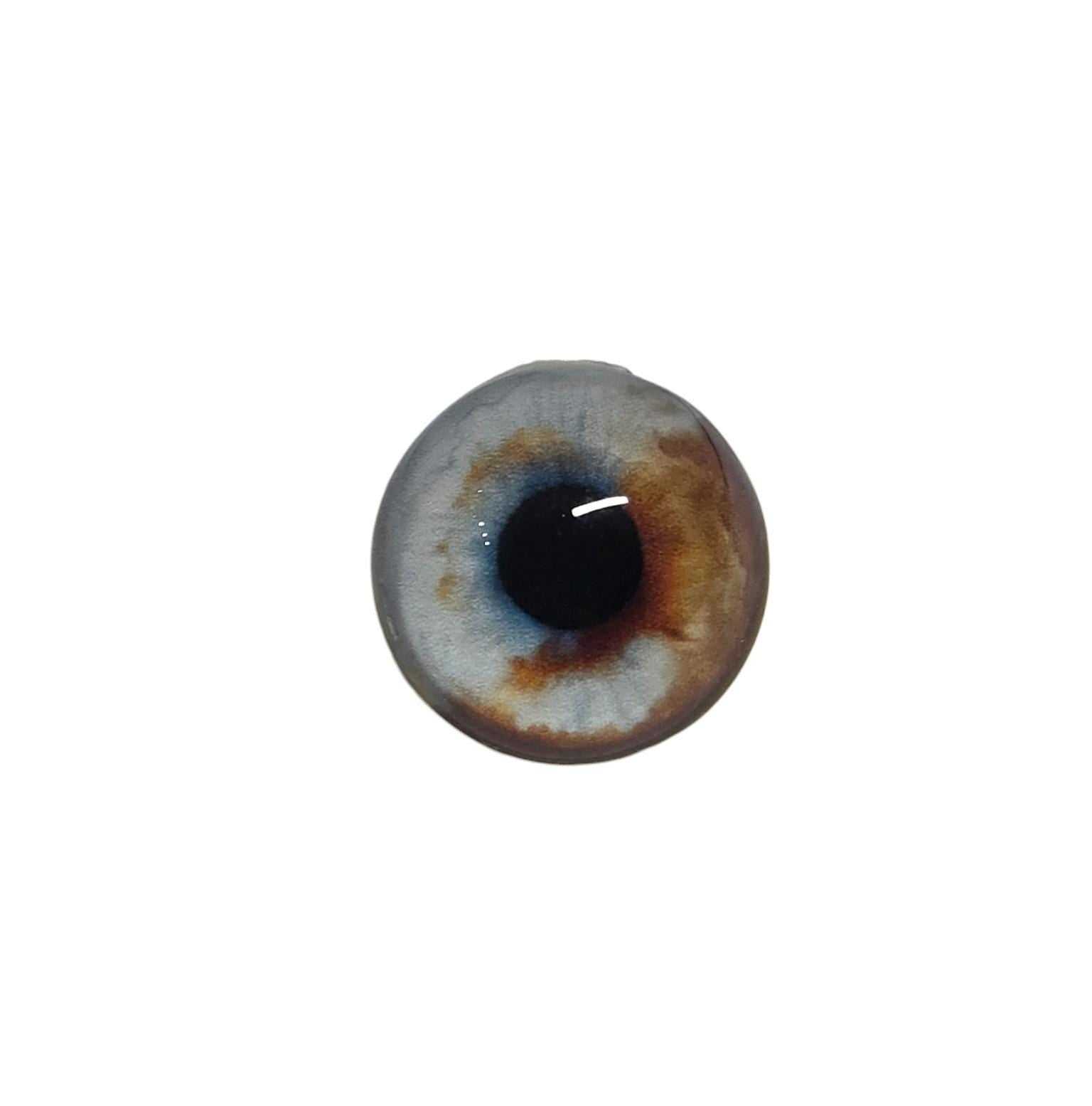 Brown and Blue Dog Heterochromia Eyes HC1 - Handmade Glass Taxidermy Eyes