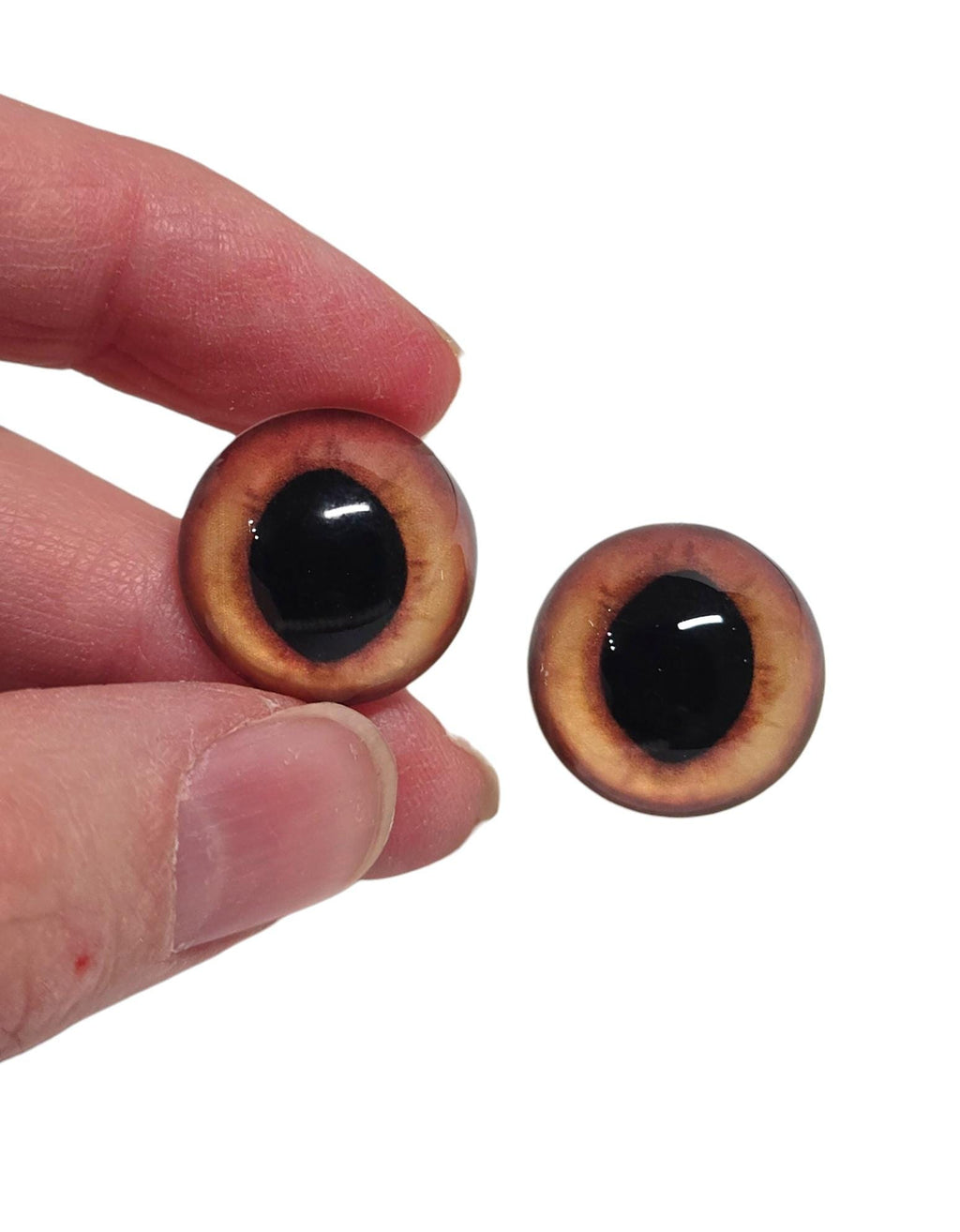 Gold Orange Wide Pupil Fox Eyes WRF7 - Handmade Glass Taxidermy Eyes