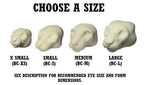 Bobcat & Lynx Taxidermy Head Forms – Multiple Sizes