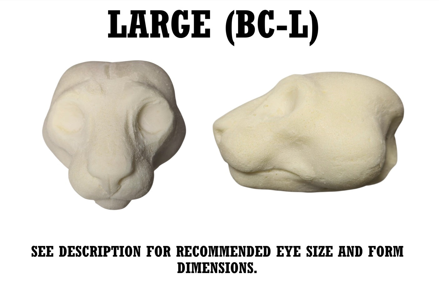 Bobcat & Lynx Taxidermy Head Forms – Multiple Sizes