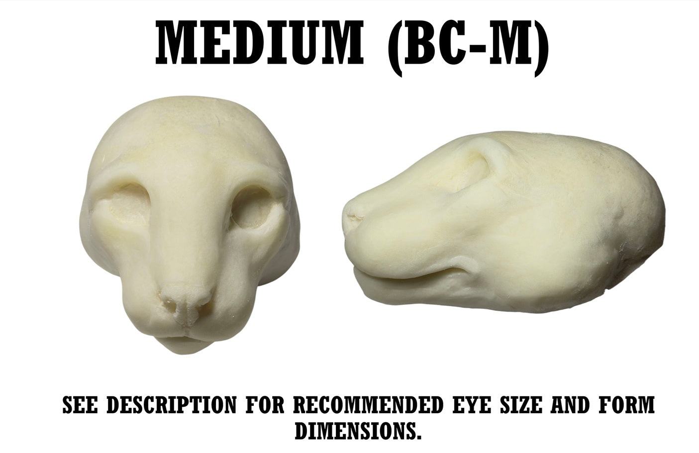 Bobcat & Lynx Taxidermy Head Forms – Multiple Sizes