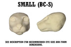 Bobcat & Lynx Taxidermy Head Forms – Multiple Sizes