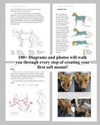 Soft Mount Taxidermy DIY Beginners Guide - Digital 270+ page PDF Soft Mount Taxidermy Book by Chandra Ahlquist - Downloadable E-BOOK