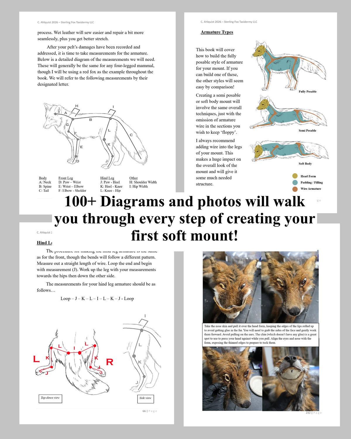 Soft Mount Taxidermy DIY Beginners Guide - Digital 270+ page PDF Soft Mount Taxidermy Book by Chandra Ahlquist - Downloadable E-BOOK