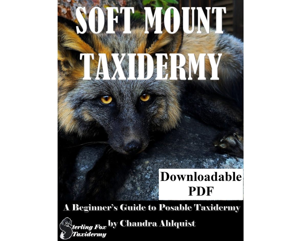 Soft Mount Taxidermy DIY Beginners Guide - Digital 270+ page PDF Soft Mount Taxidermy Book by Chandra Ahlquist - Downloadable E-BOOK