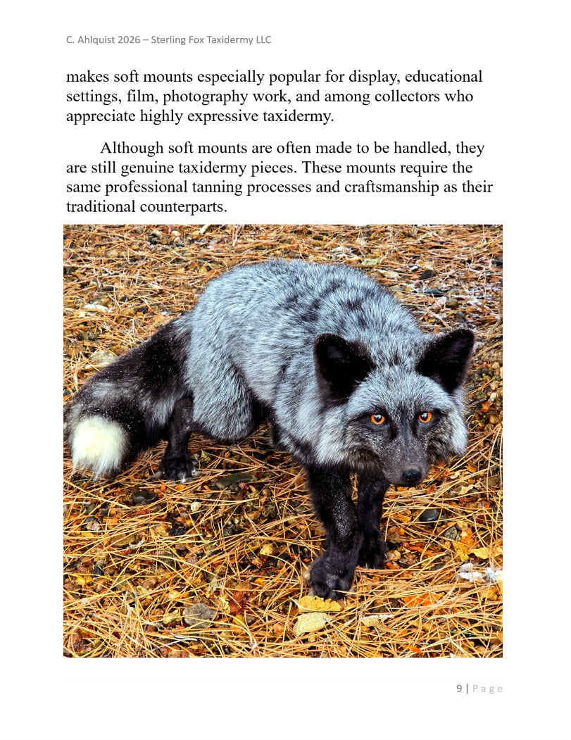 Soft Mount Taxidermy DIY Beginners Guide - Digital 270+ page PDF Soft Mount Taxidermy Book by Chandra Ahlquist - Downloadable E-BOOK